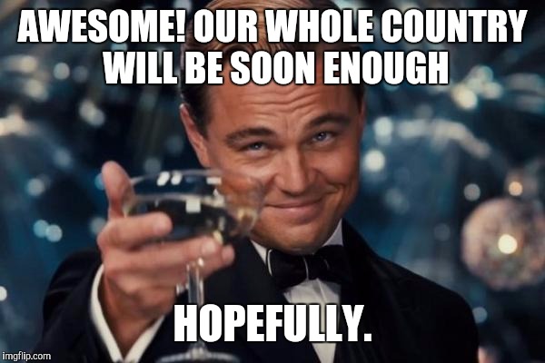 Leonardo Dicaprio Cheers Meme | AWESOME! OUR WHOLE COUNTRY WILL BE SOON ENOUGH HOPEFULLY. | image tagged in memes,leonardo dicaprio cheers | made w/ Imgflip meme maker