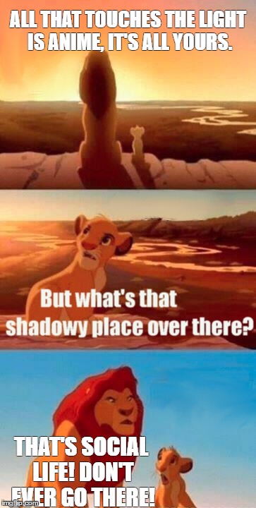 Simba Shadowy Place Meme | ALL THAT TOUCHES THE LIGHT IS ANIME, IT'S ALL YOURS. THAT'S SOCIAL LIFE! DON'T EVER GO THERE! | image tagged in memes,simba shadowy place | made w/ Imgflip meme maker
