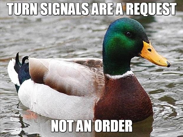 Good Advise Duck | TURN SIGNALS ARE A REQUEST; NOT AN ORDER | image tagged in good advise duck | made w/ Imgflip meme maker
