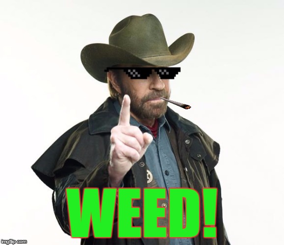 WEED! | image tagged in dank chuck norris | made w/ Imgflip meme maker