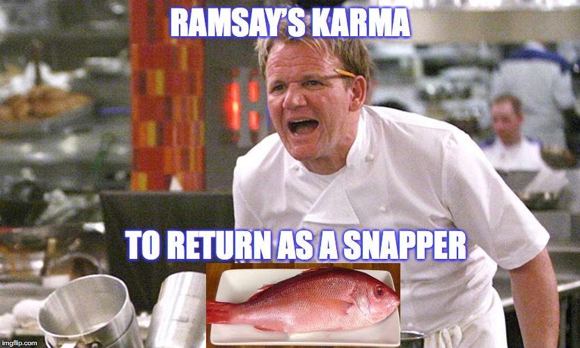 Gordon Ramsay’s Karma | RAMSAY’S KARMA; TO RETURN AS A SNAPPER | image tagged in reincarnation,fates,destiny,karma,funny memes | made w/ Imgflip meme maker