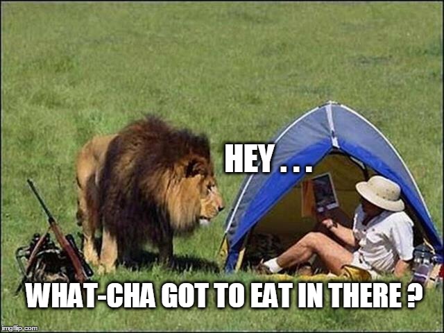 HEY . . . WHAT-CHA GOT TO EAT IN THERE ? | image tagged in lion,lion king | made w/ Imgflip meme maker