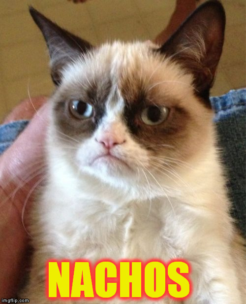 Grumpy Cat Meme | NACHOS | image tagged in memes,grumpy cat | made w/ Imgflip meme maker