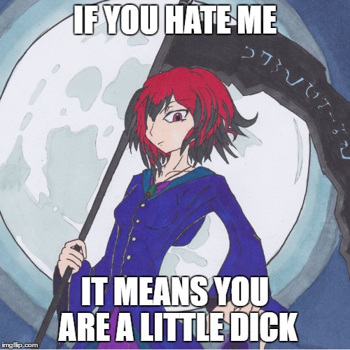 IF YOU HATE ME; IT MEANS YOU ARE A LITTLE DICK | image tagged in mary sue | made w/ Imgflip meme maker