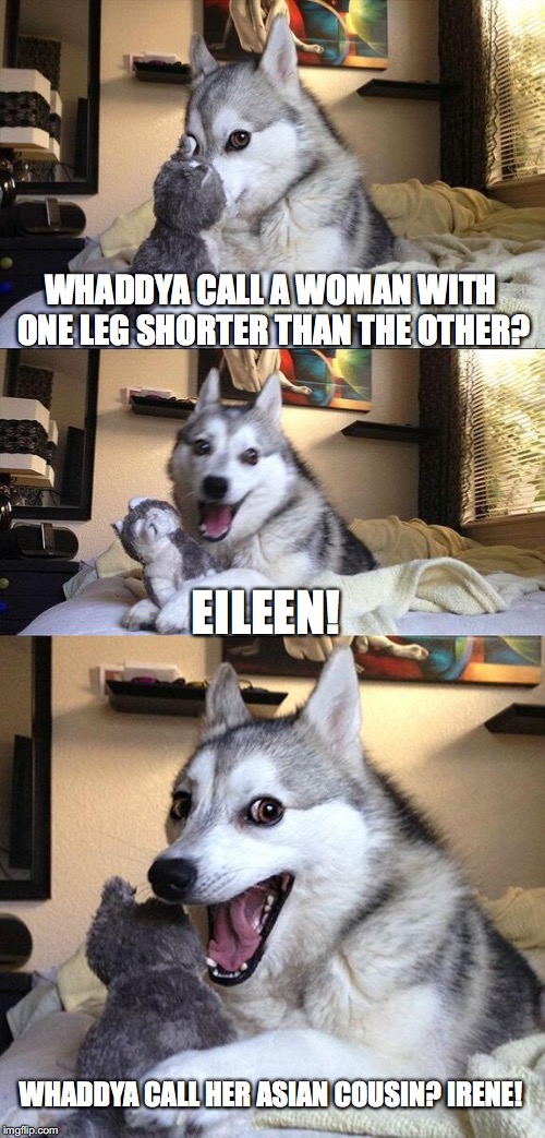 Bad Pun Dog |  WHADDYA CALL A WOMAN WITH ONE LEG SHORTER THAN THE OTHER? EILEEN! WHADDYA CALL HER ASIAN COUSIN? IRENE! | image tagged in memes,bad pun dog | made w/ Imgflip meme maker