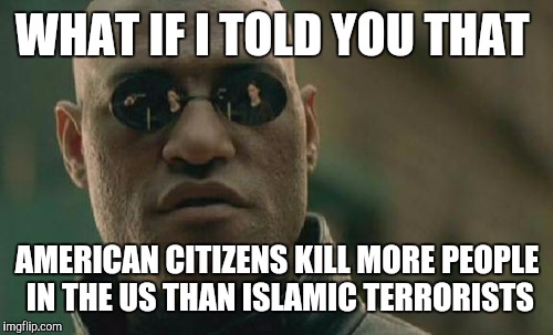 Matrix Morpheus Meme | WHAT IF I TOLD YOU THAT AMERICAN CITIZENS KILL MORE PEOPLE IN THE US THAN ISLAMIC TERRORISTS | image tagged in memes,matrix morpheus | made w/ Imgflip meme maker