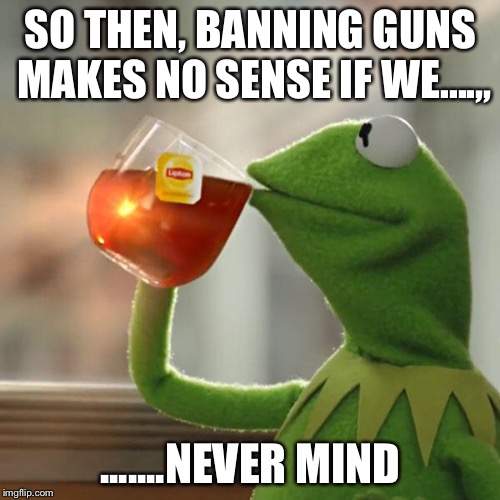 But That's None Of My Business Meme | SO THEN, BANNING GUNS MAKES NO SENSE IF WE....,, .......NEVER MIND | image tagged in memes,but thats none of my business,kermit the frog | made w/ Imgflip meme maker