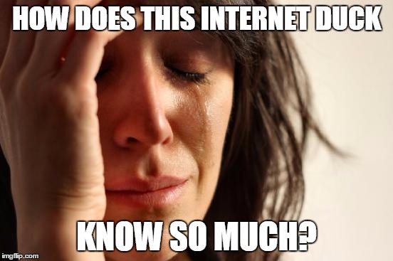 First World Problems Meme | HOW DOES THIS INTERNET DUCK KNOW SO MUCH? | image tagged in memes,first world problems | made w/ Imgflip meme maker