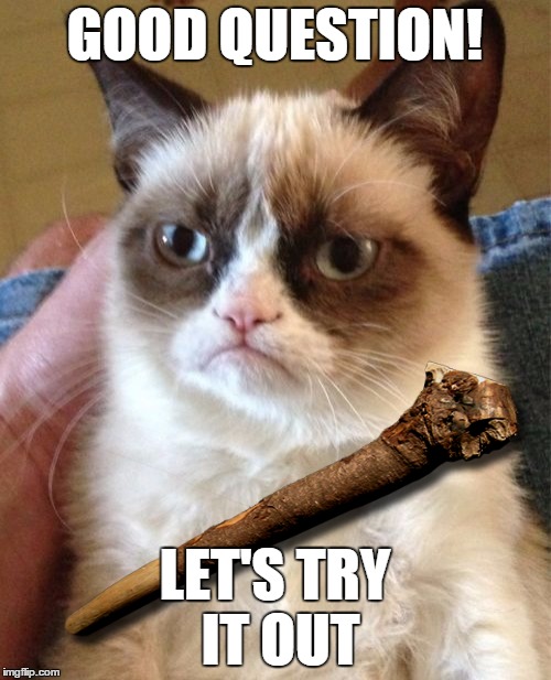 Grumpy Cat Meme | GOOD QUESTION! LET'S TRY IT OUT | image tagged in memes,grumpy cat | made w/ Imgflip meme maker