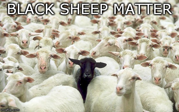 diversity begins at home | BLACK SHEEP MATTER | image tagged in black sheep family | made w/ Imgflip meme maker
