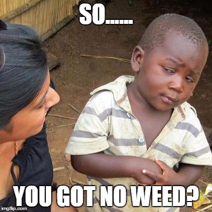 Third World Skeptical Kid Meme | SO...... YOU GOT NO WEED? | image tagged in memes,third world skeptical kid | made w/ Imgflip meme maker
