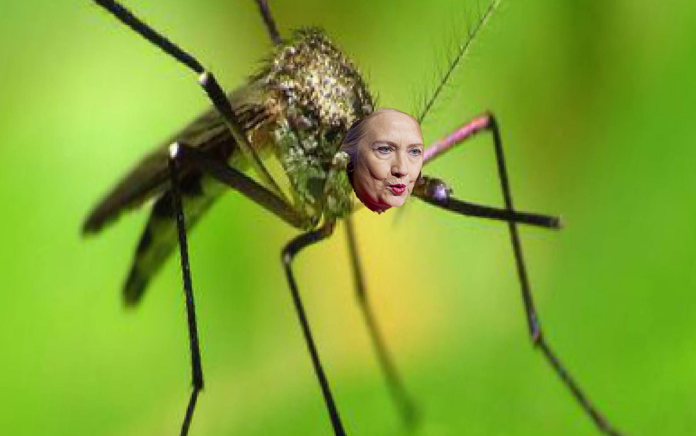 hillary mosquito Blank Meme Template