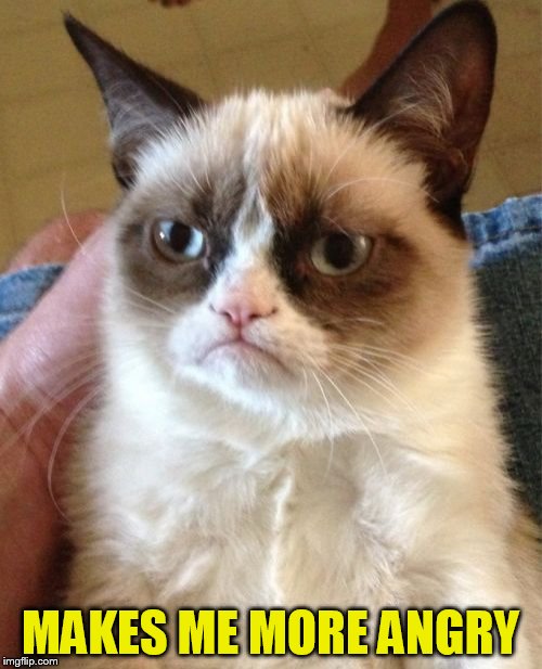 Grumpy Cat Meme | MAKES ME MORE ANGRY | image tagged in memes,grumpy cat | made w/ Imgflip meme maker