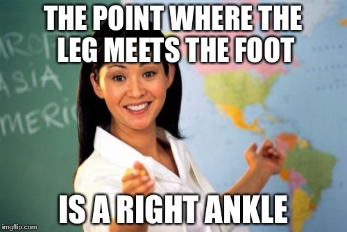 Unhelpful High School Teacher | THE POINT WHERE THE LEG MEETS THE FOOT; IS A RIGHT ANKLE | image tagged in memes,unhelpful high school teacher | made w/ Imgflip meme maker