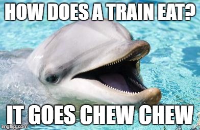 Dumb Joke Dolphin | HOW DOES A TRAIN EAT? IT GOES CHEW CHEW | image tagged in dumb joke dolphin | made w/ Imgflip meme maker