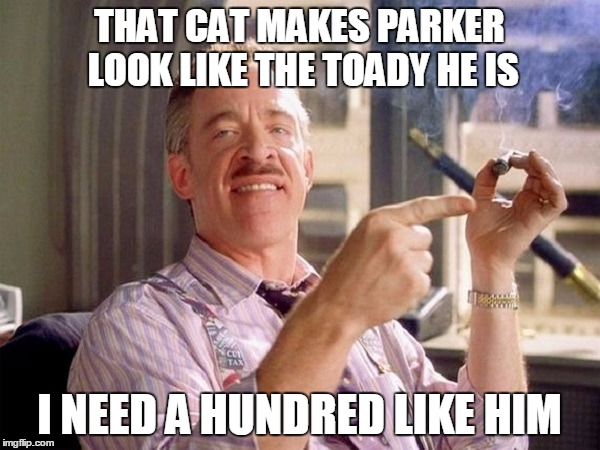 THAT CAT MAKES PARKER LOOK LIKE THE TOADY HE IS I NEED A HUNDRED LIKE HIM | made w/ Imgflip meme maker