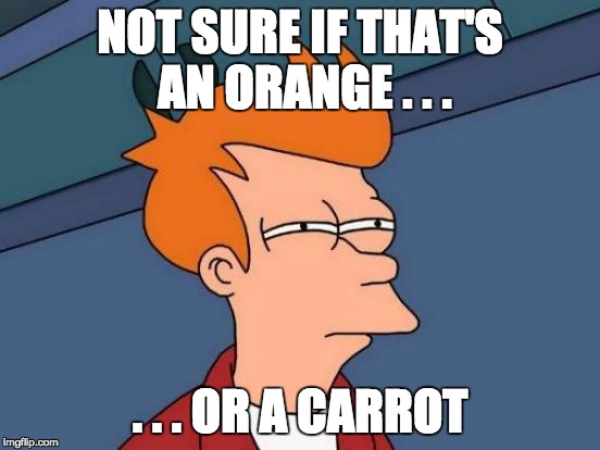 Futurama Fry Meme | NOT SURE IF THAT'S AN ORANGE . . . . . . OR A CARROT | image tagged in memes,futurama fry | made w/ Imgflip meme maker