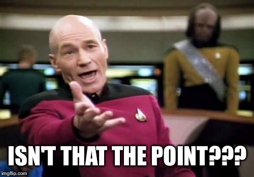 Picard Wtf Meme | ISN'T THAT THE POINT??? | image tagged in memes,picard wtf | made w/ Imgflip meme maker