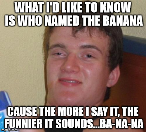 10 Guy Meme | WHAT I'D LIKE TO KNOW IS WHO NAMED THE BANANA CAUSE THE MORE I SAY IT, THE FUNNIER IT SOUNDS...BA-NA-NA | image tagged in memes,10 guy | made w/ Imgflip meme maker