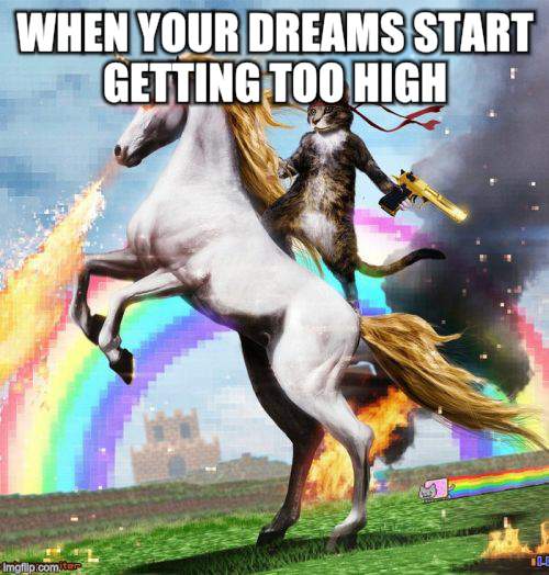 Welcome To The Internets Meme | WHEN YOUR DREAMS START GETTING TOO HIGH | image tagged in memes,welcome to the internets | made w/ Imgflip meme maker