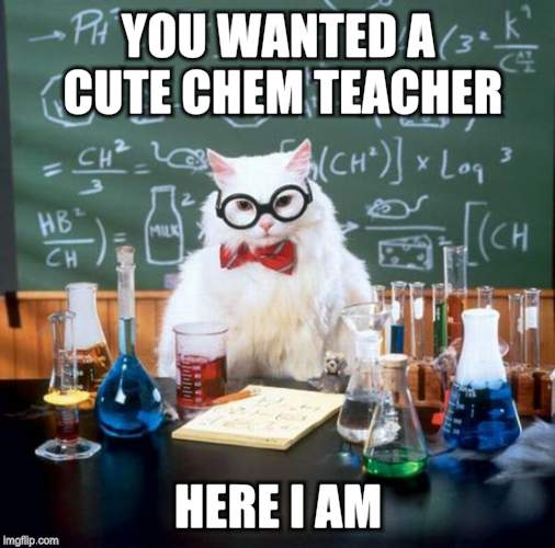 Chemistry Cat | YOU WANTED A CUTE CHEM TEACHER; HERE I AM | image tagged in memes,chemistry cat | made w/ Imgflip meme maker