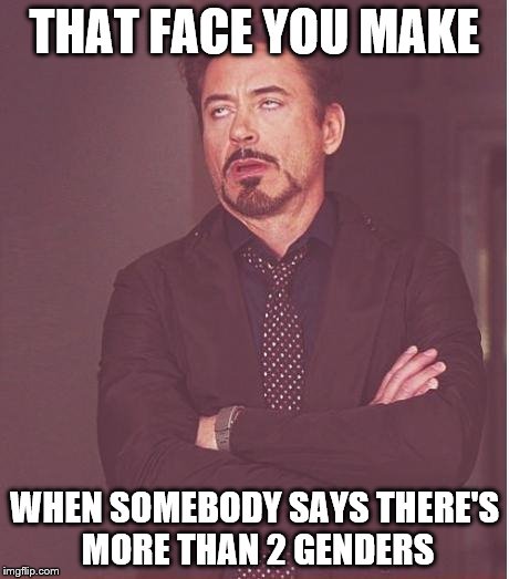 Face You Make Robert Downey Jr Meme | THAT FACE YOU MAKE; WHEN SOMEBODY SAYS THERE'S MORE THAN 2 GENDERS | image tagged in memes,face you make robert downey jr | made w/ Imgflip meme maker