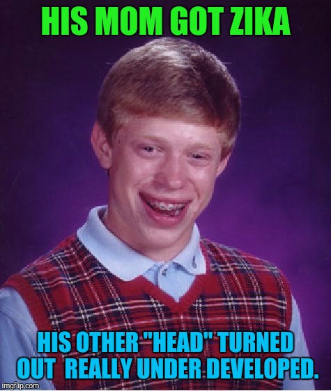 A Head Scatcher | HIS MOM GOT ZIKA; HIS OTHER "HEAD" TURNED OUT  REALLY UNDER DEVELOPED. | image tagged in memes,bad luck brian | made w/ Imgflip meme maker