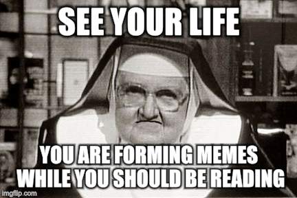 Frowning Nun | SEE YOUR LIFE; YOU ARE FORMING MEMES WHILE YOU SHOULD BE READING | image tagged in memes,frowning nun | made w/ Imgflip meme maker