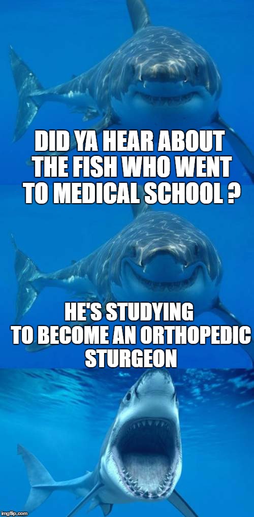 Bad Shark Pun  | DID YA HEAR ABOUT THE FISH WHO WENT TO MEDICAL SCHOOL ? HE'S STUDYING TO BECOME AN ORTHOPEDIC STURGEON | image tagged in bad shark pun | made w/ Imgflip meme maker