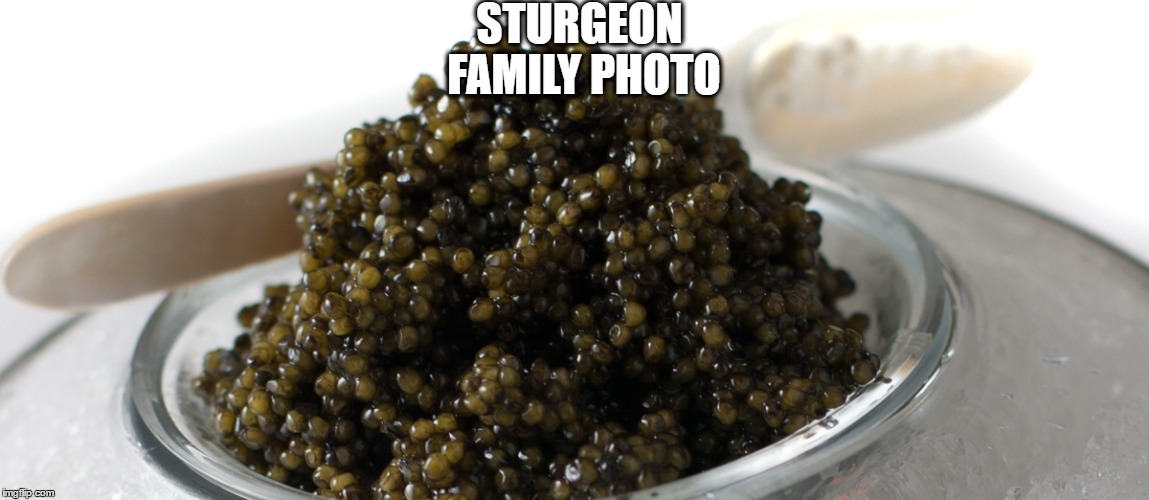 STURGEON FAMILY PHOTO | made w/ Imgflip meme maker