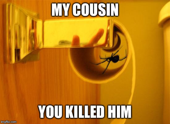 Spiders suck | MY COUSIN; YOU KILLED HIM | image tagged in spiders suck | made w/ Imgflip meme maker