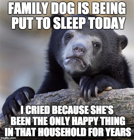 Confession Bear | FAMILY DOG IS BEING PUT TO SLEEP TODAY; I CRIED BECAUSE SHE'S BEEN THE ONLY HAPPY THING IN THAT HOUSEHOLD FOR YEARS | image tagged in memes,confession bear,AdviceAnimals | made w/ Imgflip meme maker