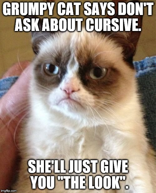 Grumpy Cat Meme | GRUMPY CAT SAYS DON'T ASK ABOUT CURSIVE. SHE'LL JUST GIVE YOU "THE LOOK". | image tagged in memes,grumpy cat | made w/ Imgflip meme maker