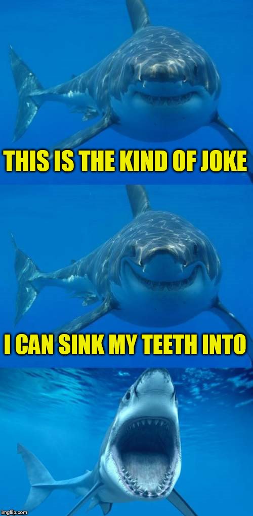 Bad Shark Pun  | THIS IS THE KIND OF JOKE I CAN SINK MY TEETH INTO | image tagged in bad shark pun | made w/ Imgflip meme maker