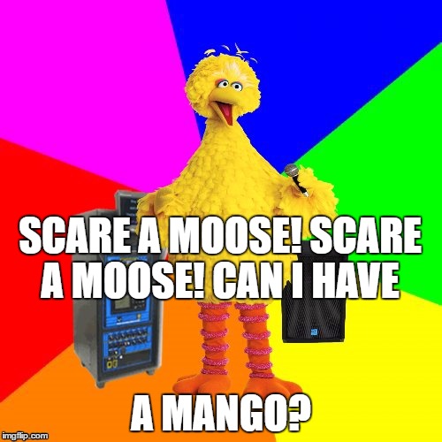 Wrong lyrics karaoke big bird | SCARE A MOOSE! SCARE A MOOSE! CAN I HAVE; A MANGO? | image tagged in wrong lyrics karaoke big bird | made w/ Imgflip meme maker