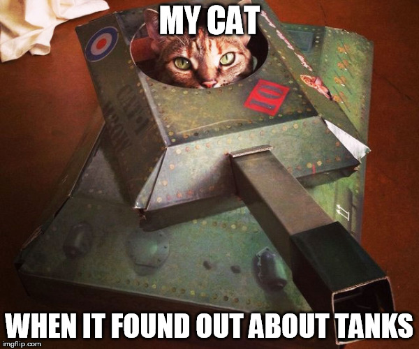 Tank Cat | MY CAT; WHEN IT FOUND OUT ABOUT TANKS | image tagged in tank cat | made w/ Imgflip meme maker