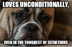LOVES UNCONDITIONALLY, EVEN IN THE TOUGHEST OF SITUATIONS | made w/ Imgflip meme maker