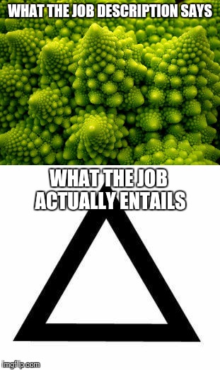 Every Job Posting Ever | WHAT THE JOB DESCRIPTION SAYS; WHAT THE JOB ACTUALLY ENTAILS | image tagged in careers,memes,abstract | made w/ Imgflip meme maker