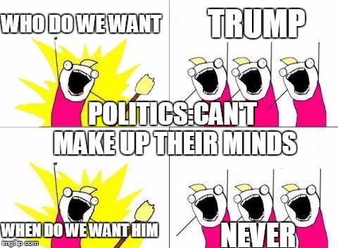 What Do We Want | WHO DO WE WANT; TRUMP; POLITICS:CAN'T MAKE UP THEIR MINDS; WHEN DO WE WANT HIM; NEVER | image tagged in memes,what do we want | made w/ Imgflip meme maker