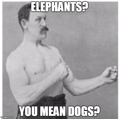 Overly Manly Man Meme | ELEPHANTS? YOU MEAN DOGS? | image tagged in memes,overly manly man | made w/ Imgflip meme maker