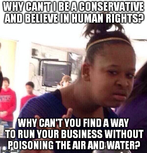 Black Girl Wat Meme | WHY CAN'T I BE A CONSERVATIVE AND BELIEVE IN HUMAN RIGHTS? WHY CAN'T YOU FIND A WAY TO RUN YOUR BUSINESS WITHOUT POISONING THE AIR AND WATER | image tagged in memes,black girl wat | made w/ Imgflip meme maker