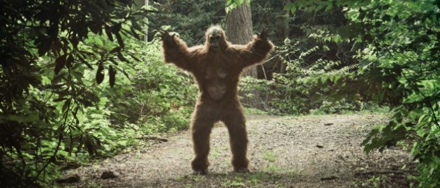 Big Foot Blank Meme Template