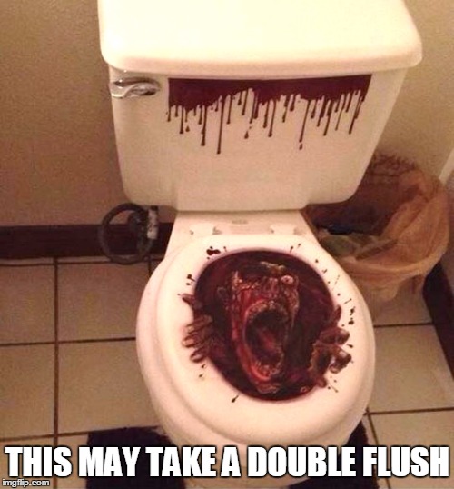THIS MAY TAKE A DOUBLE FLUSH | made w/ Imgflip meme maker