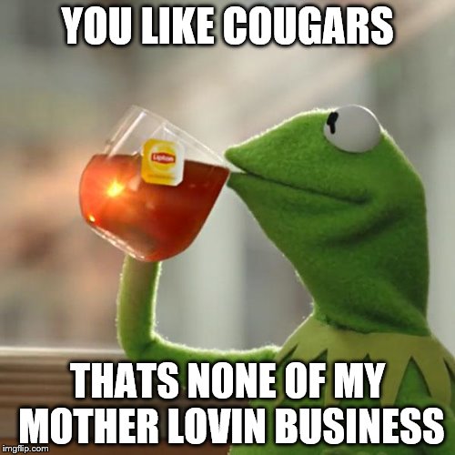 But Thats None Of My Business Meow | YOU LIKE COUGARS; THATS NONE OF MY MOTHER LOVIN BUSINESS | image tagged in memes,but thats none of my business,kermit the frog | made w/ Imgflip meme maker