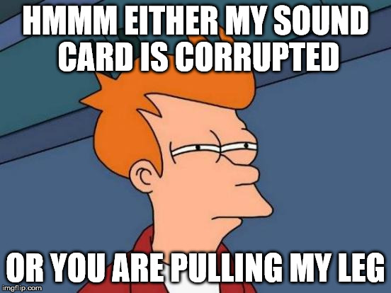Futurama Fry Meme | HMMM EITHER MY SOUND CARD IS CORRUPTED OR YOU ARE PULLING MY LEG | image tagged in memes,futurama fry | made w/ Imgflip meme maker