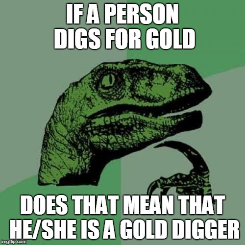 Philosoraptor Meme | IF A PERSON DIGS FOR GOLD; DOES THAT MEAN THAT HE/SHE IS A GOLD DIGGER | image tagged in memes,philosoraptor | made w/ Imgflip meme maker