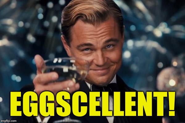 Leonardo Dicaprio Cheers Meme | EGGSCELLENT! | image tagged in memes,leonardo dicaprio cheers | made w/ Imgflip meme maker