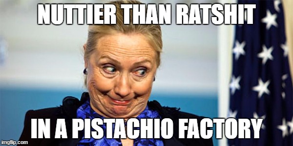 hildebeast | NUTTIER THAN RATSHIT; IN A PISTACHIO FACTORY | image tagged in hillary,batshit,meme,nutty | made w/ Imgflip meme maker