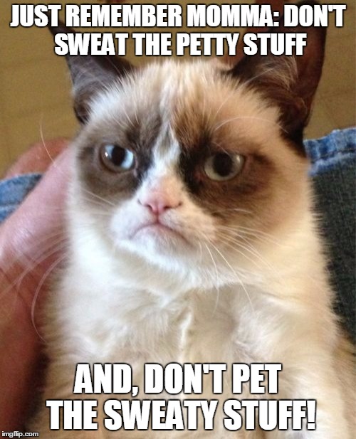 Grumpy Cat | JUST REMEMBER MOMMA: DON'T SWEAT THE PETTY STUFF; AND, DON'T PET THE SWEATY STUFF! | image tagged in memes,grumpy cat | made w/ Imgflip meme maker