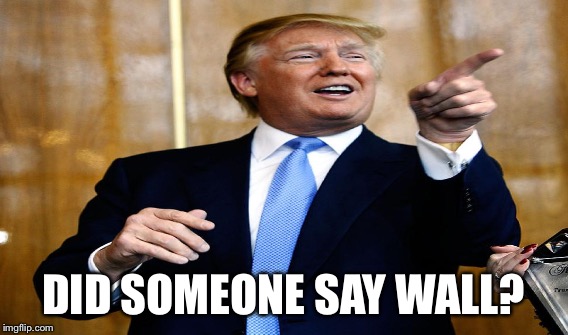 DID SOMEONE SAY WALL? | made w/ Imgflip meme maker